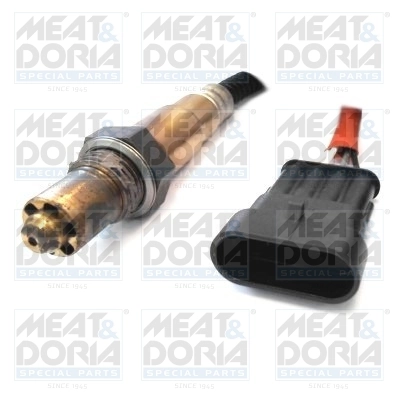 Oxygen Sensor